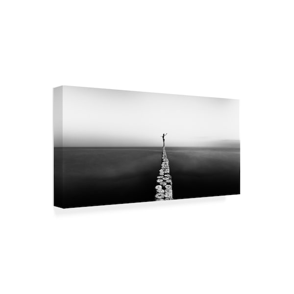 Patrick Odorizzi 'Aequilibrium' Canvas Art,16x32